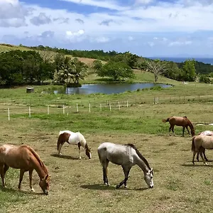 Ferienhaus La Ferme Des Etangs